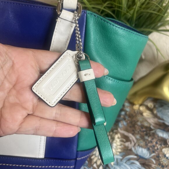 Coach COLORBLOCK CARRIE (F24065) Color Block Shoulder Tote Purse Handbag - Picture 14 of 16